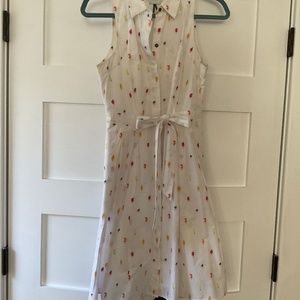 Anthropologie Dress